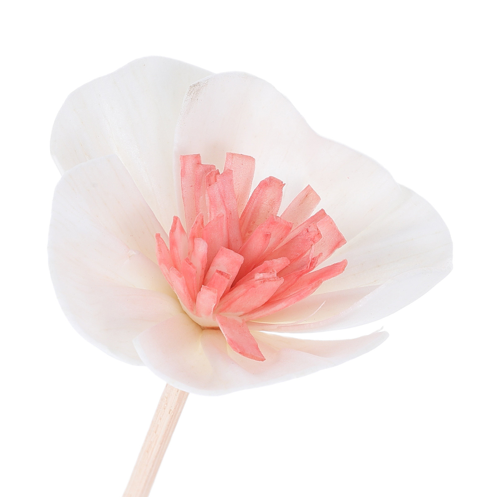 10 Adet Siyah Çok Gözenekli Fi - Home Fragrance Diffuser incelemesi ve fiyatı
